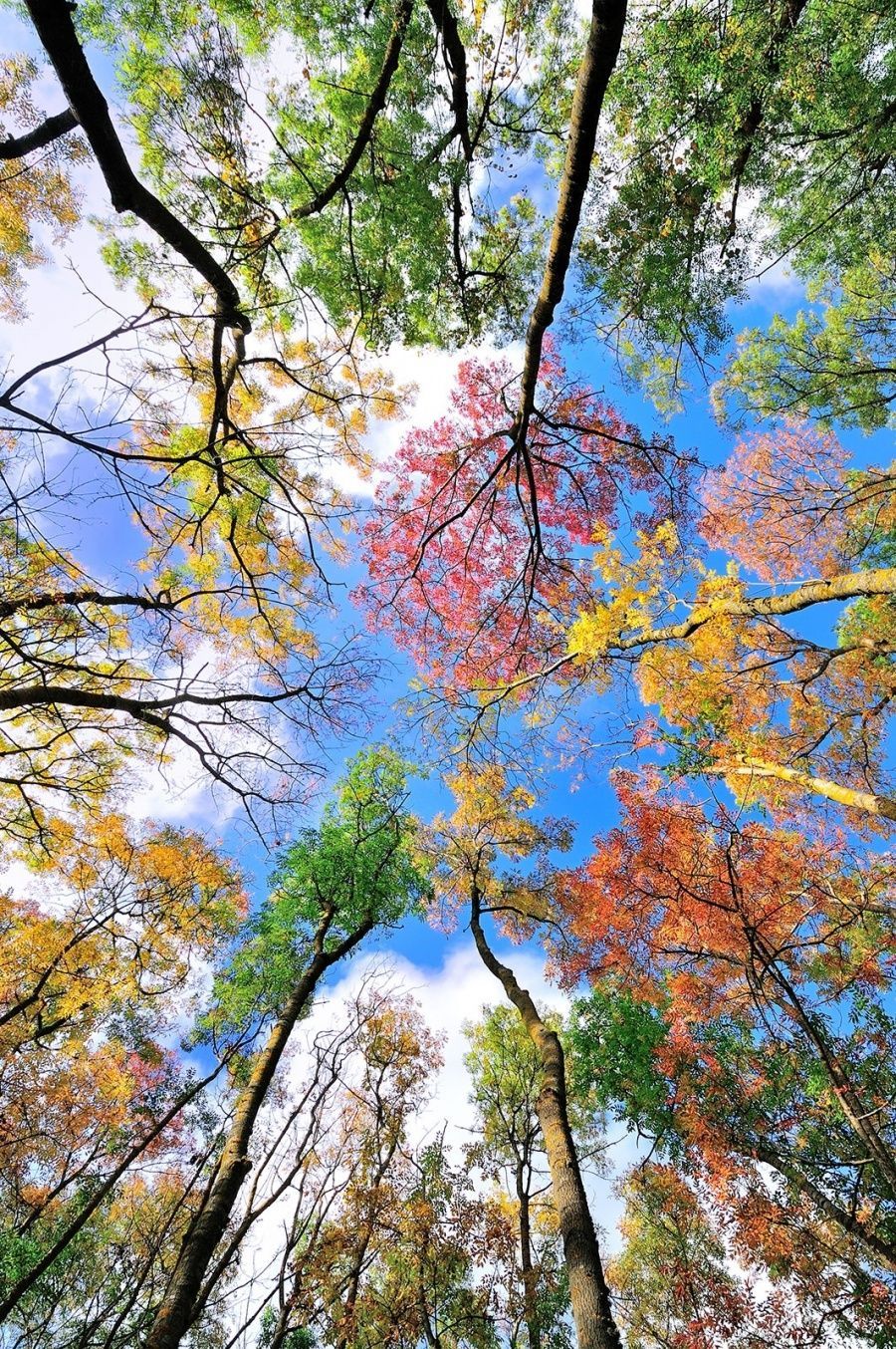 Value & reuse: sustainable construction and circular economy